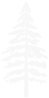 The image shows a stylized silhouette of a pine tree with evenly spaced branches on a plain background.