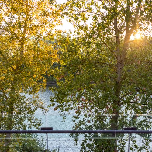 Rosswood Event Space