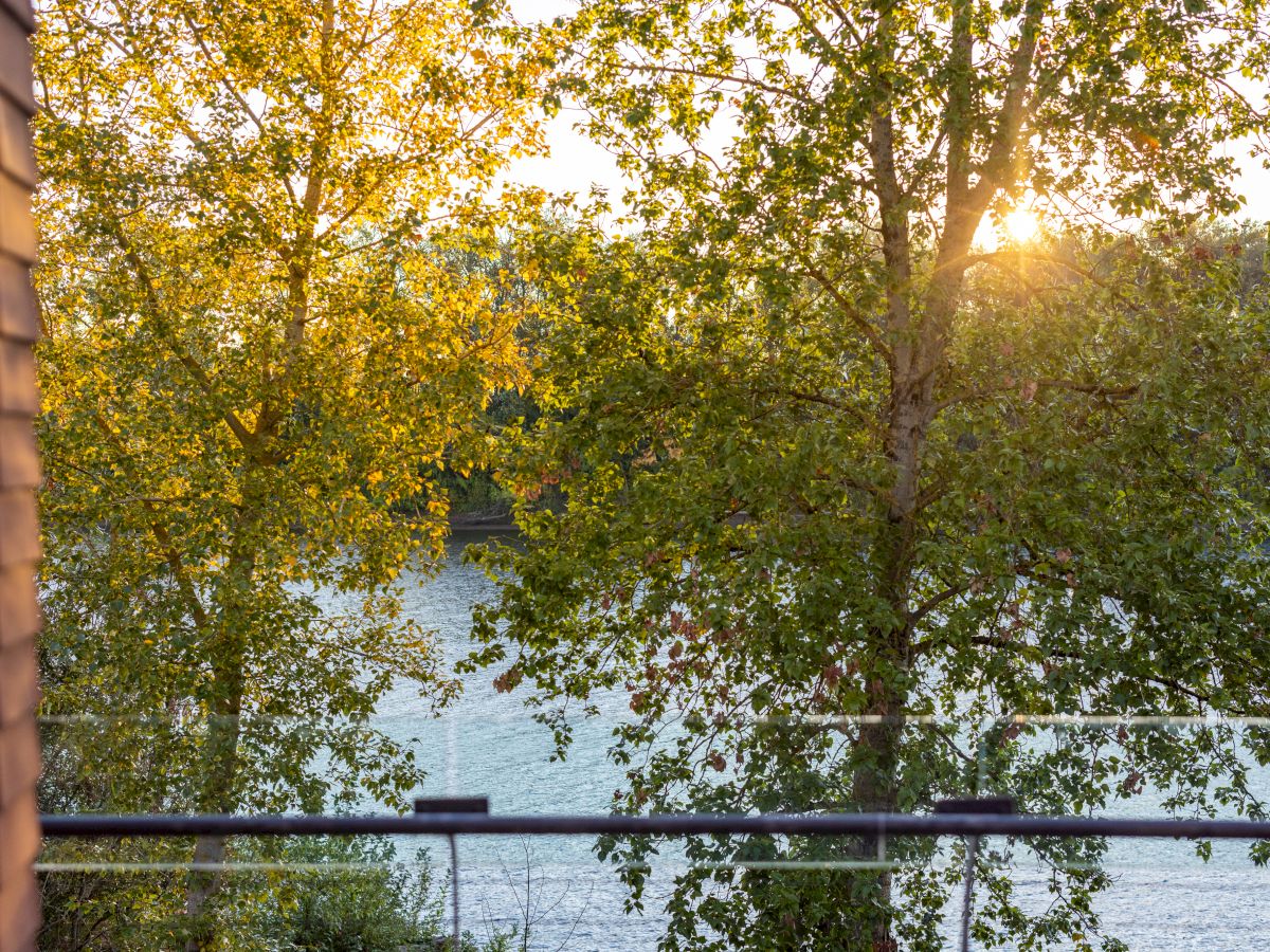 Autumn trees with golden leaves beside a calm river, sunlight peeking through branches and a railing in the foreground.