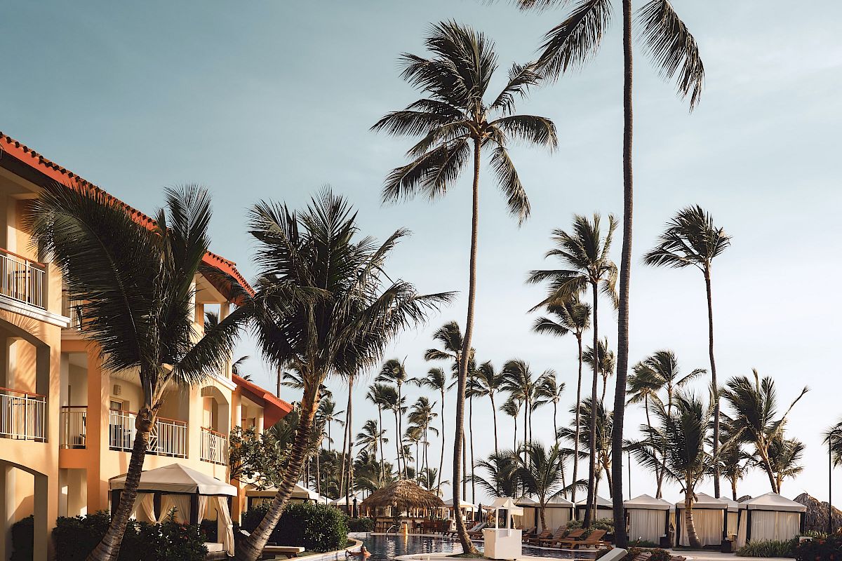 The image shows a resort pool with lounge chairs and tall palm trees under a clear sky.